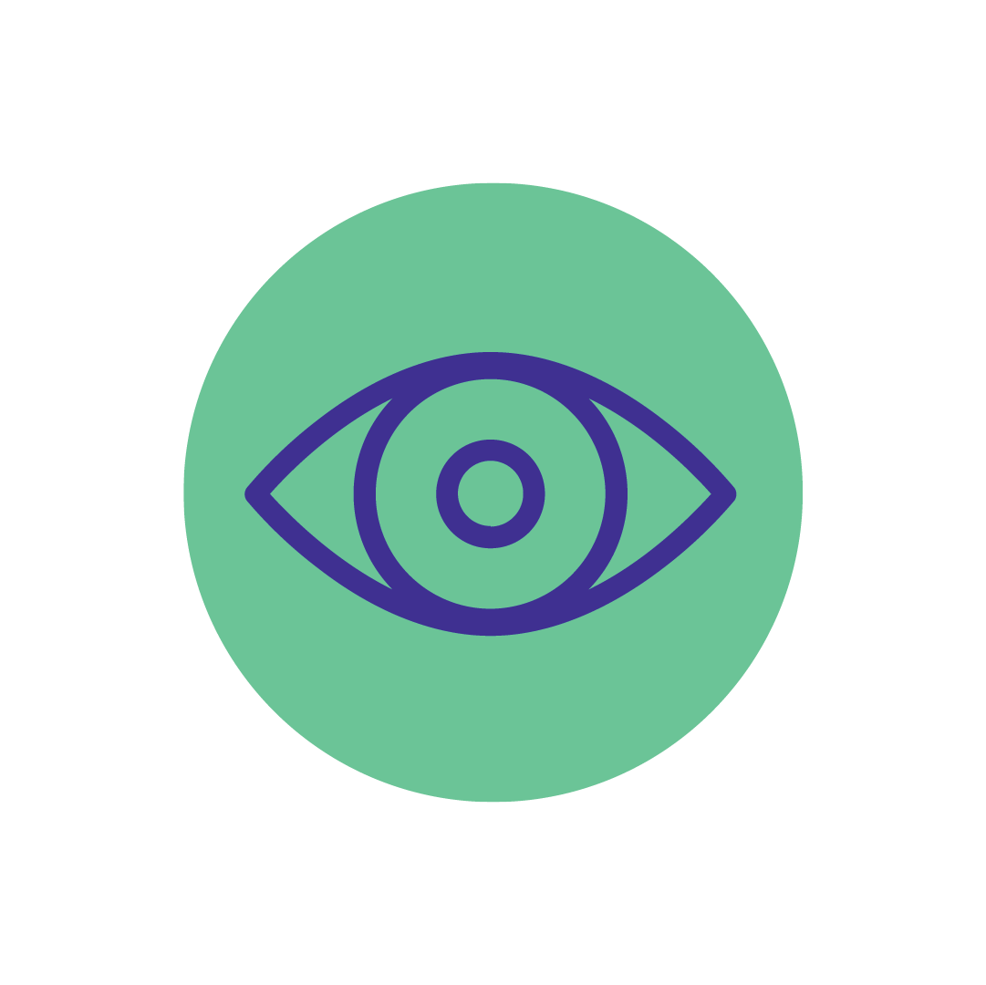 Vision icon Vision icon
