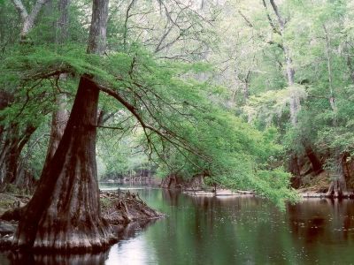 Swannee River AHEC Photo