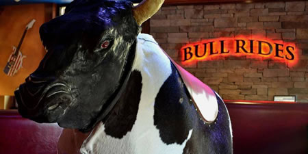 Bull Rides at Cadillac Ranch