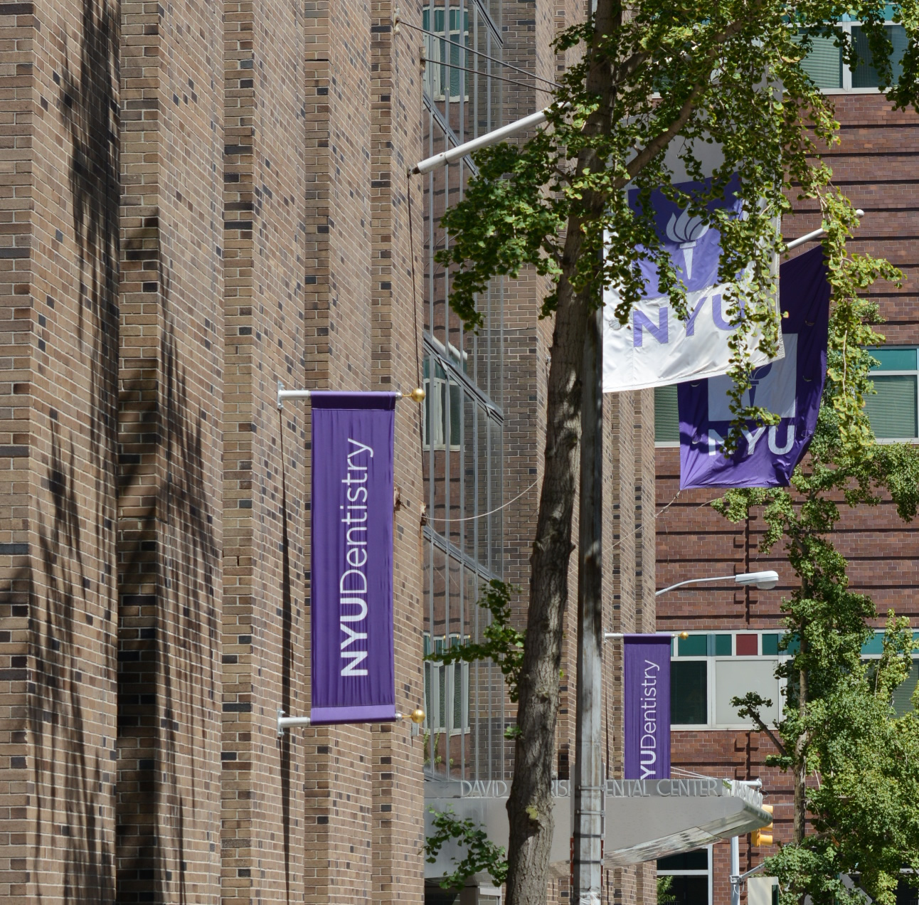 NYU Building Logo